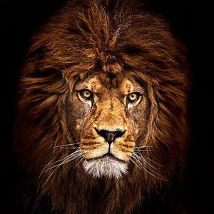 Meet your Posher, Aaron david